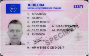 Estonian drivers license