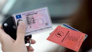 Buy french drivers license registered