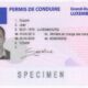 Luxemburg drivers license