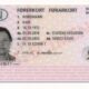 Norwegian Drivers license