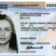 Buy Lithuanian residence Permit